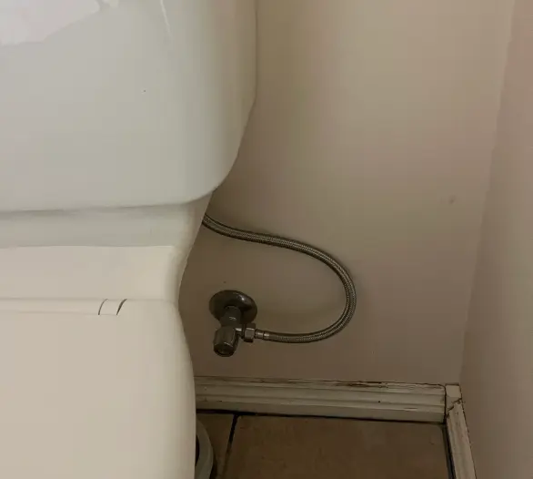 Chrome isolation valve and hose behind a toilet at skirting height