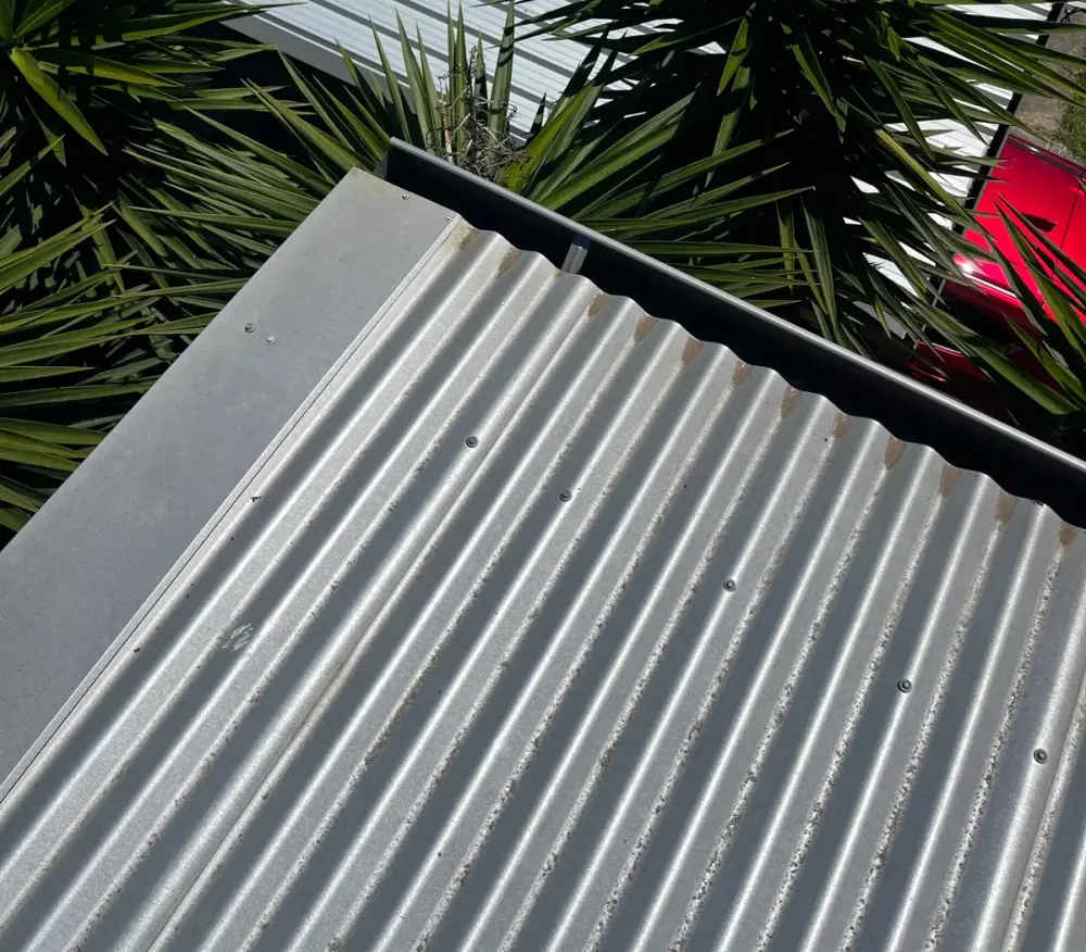 Corrugated metal roof edge with gutter above yucca plants