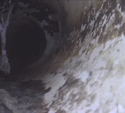 Drain camera image looking along the inside of a stained pipe with a root hanging down