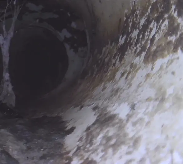 Drain camera image looking along the inside of a stained pipe with a root hanging down