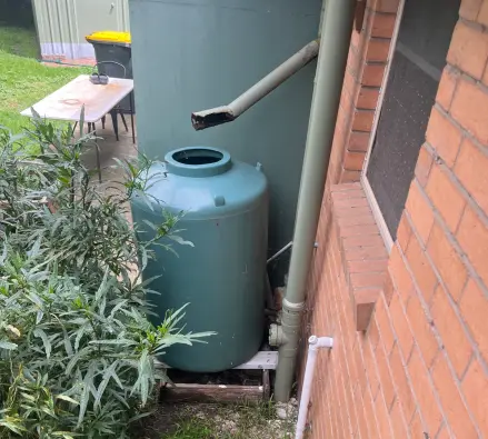 Green rainwater tank on a timber base next to a brick wall, with a downpipe and white overflow pipe