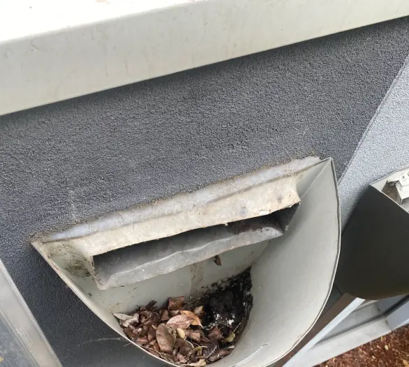 Gutter outlet box holding leaves and debris above a downpipe