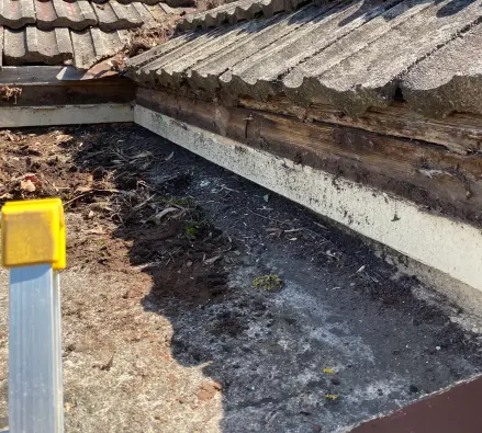 Leaf-filled box gutter beside a tiled roof with weathered timber lining