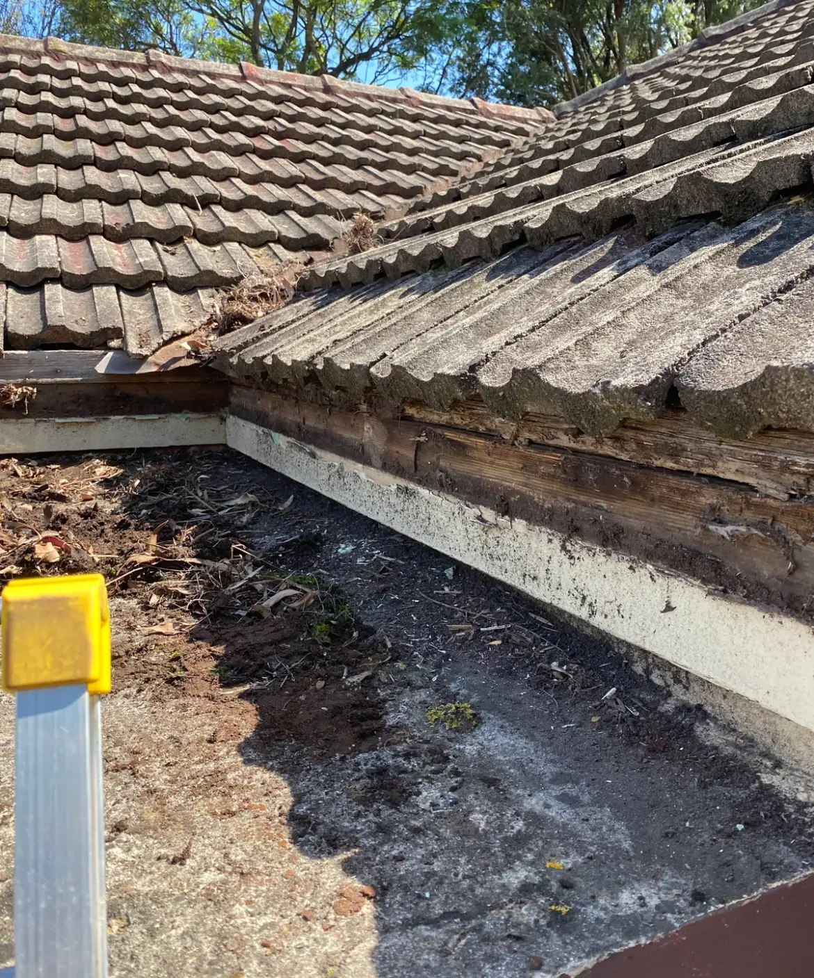 Leaf-filled box gutter beside a tiled roof with weathered timber lining