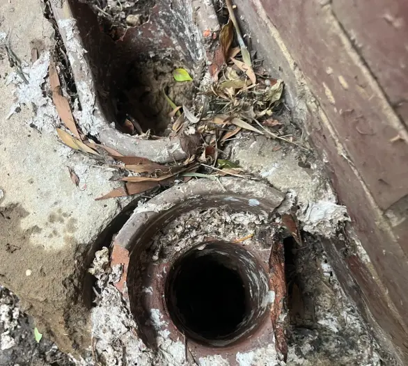 Looking down into an old clay drain opening surrounded by cement and dry leaves