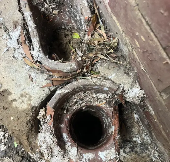 Looking down into an old clay drain opening surrounded by cement and dry leaves