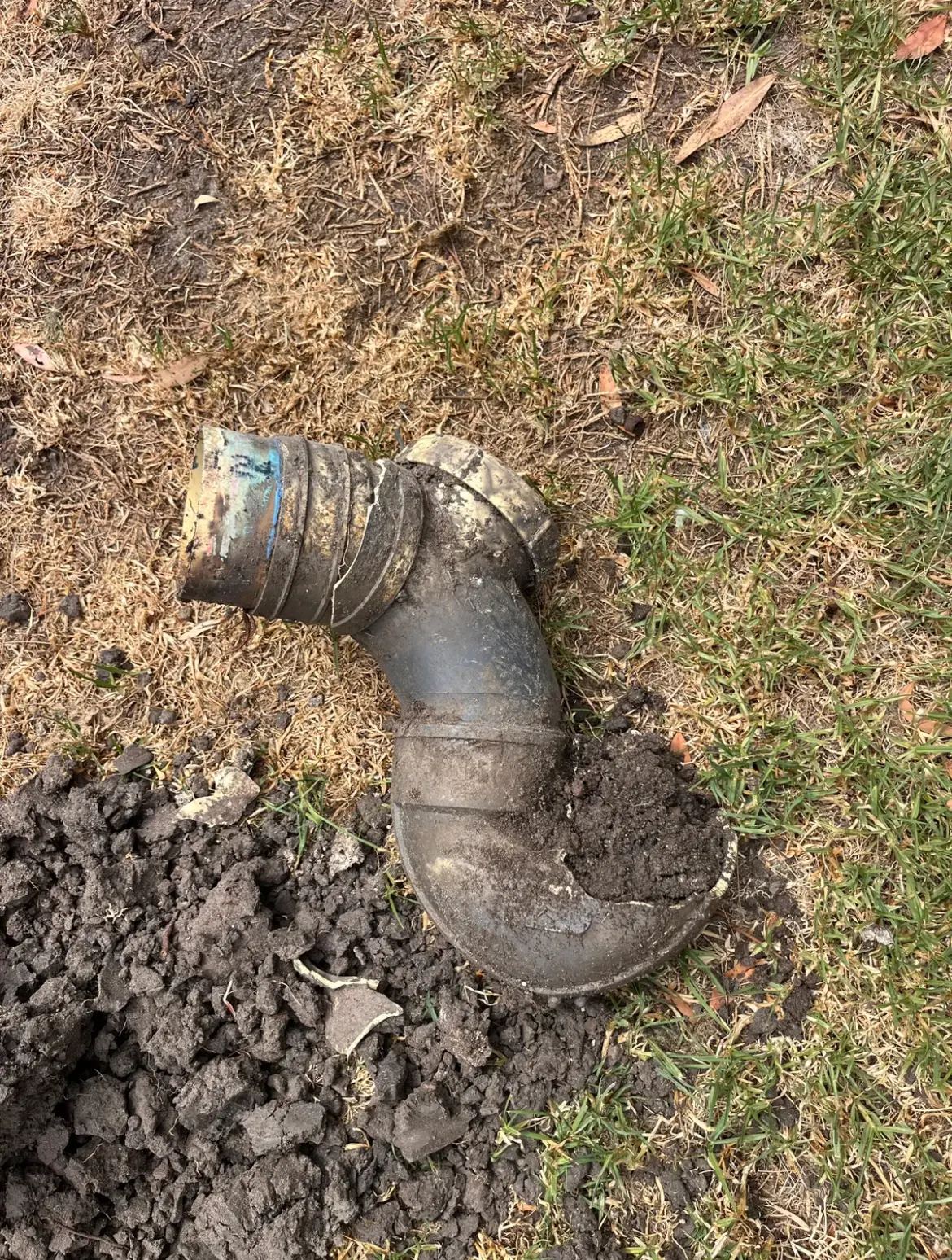 Muddy drain elbow lifted out of the ground onto grass