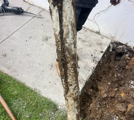 Muddy old pipe held upright beside a dug-out hole next to a path, with a breaker tool lying at the top left