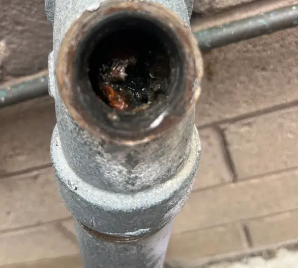 Open end of a galvanised pipe with rust and dirt inside, against a render wall