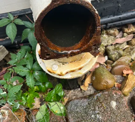 Open rusted cast iron pipe opening beside green leaves and stones against a weatherboard wall