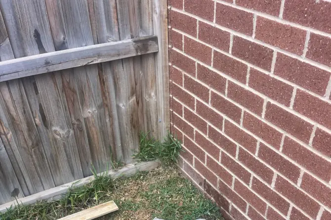 Red high-pressure hose reel on grass with the hose running into an open drain beside a brick wall and timber fence