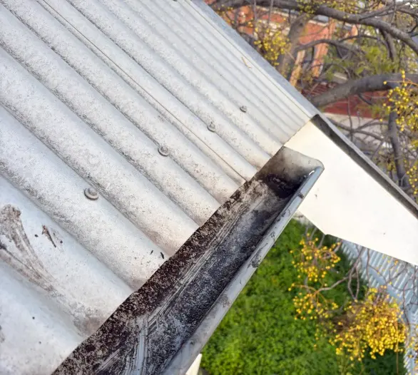 Roof gutter full of leaves and debris