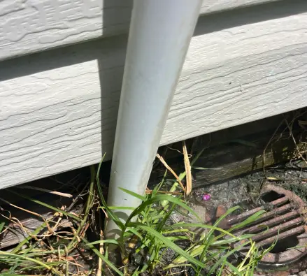 Rusty drain grate at the foot of a downpipe against a weatherboard wall with grass growing around it