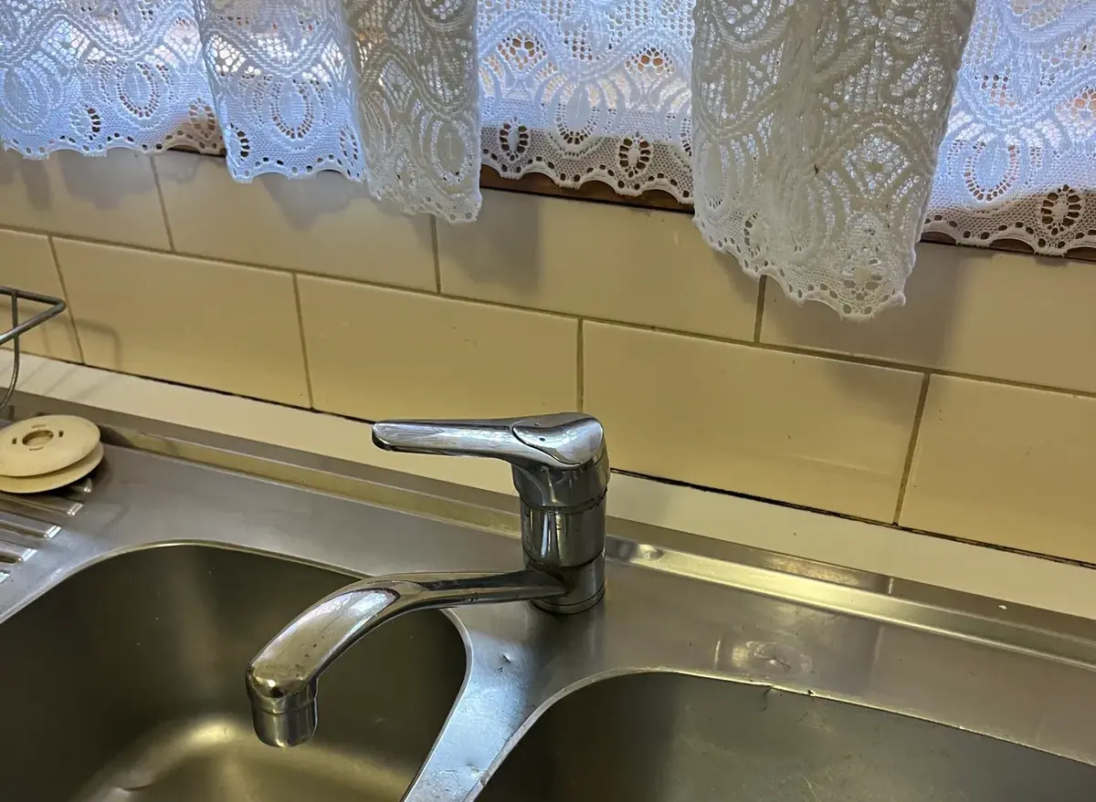 Stainless steel double sink with a swivel mixer tap below a lace curtain