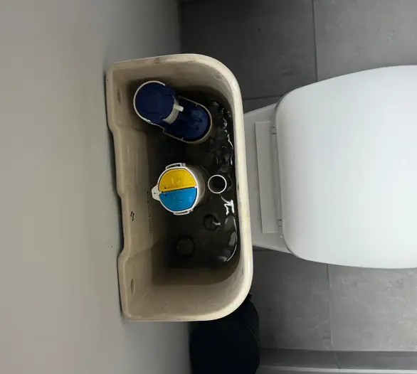 Toilet cistern with the lid off showing the dual flush mechanism and fill valve