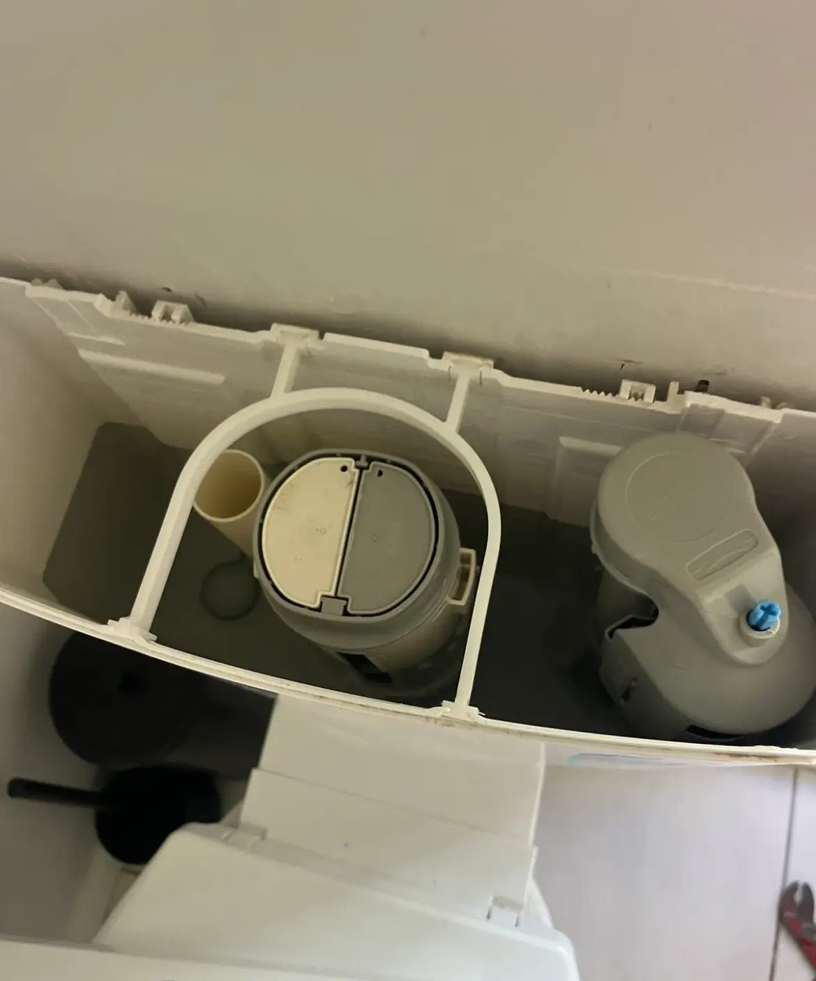 Toilet cistern with the lid off showing the dual flush and fill valves