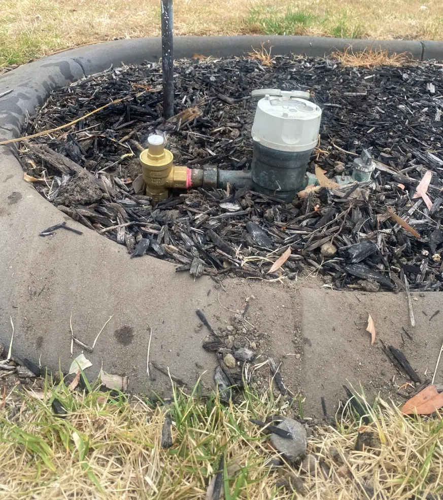 Water meter and brass pressure-limiting valve in a mulched garden bed