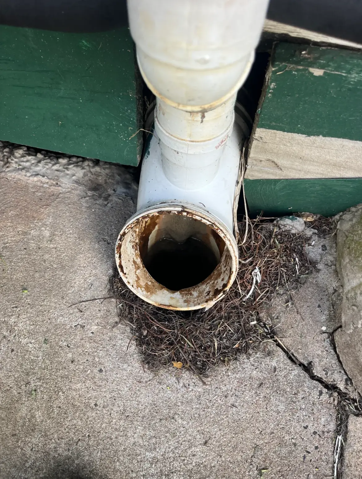 White downpipe fitting with a rusty open end and a nest of debris on concrete