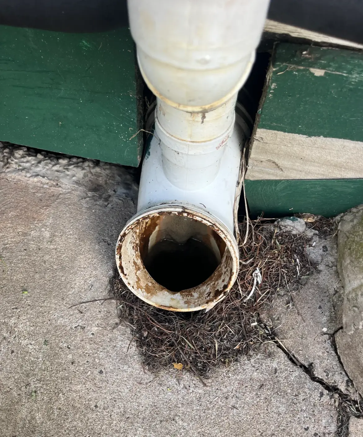 White downpipe fitting with a rusty open end and a nest of debris on concrete