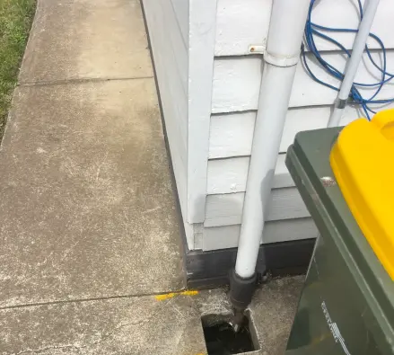 White downpipe running into a square cut-out pit in a concrete path, beside a wheelie bin and a weatherboard wall