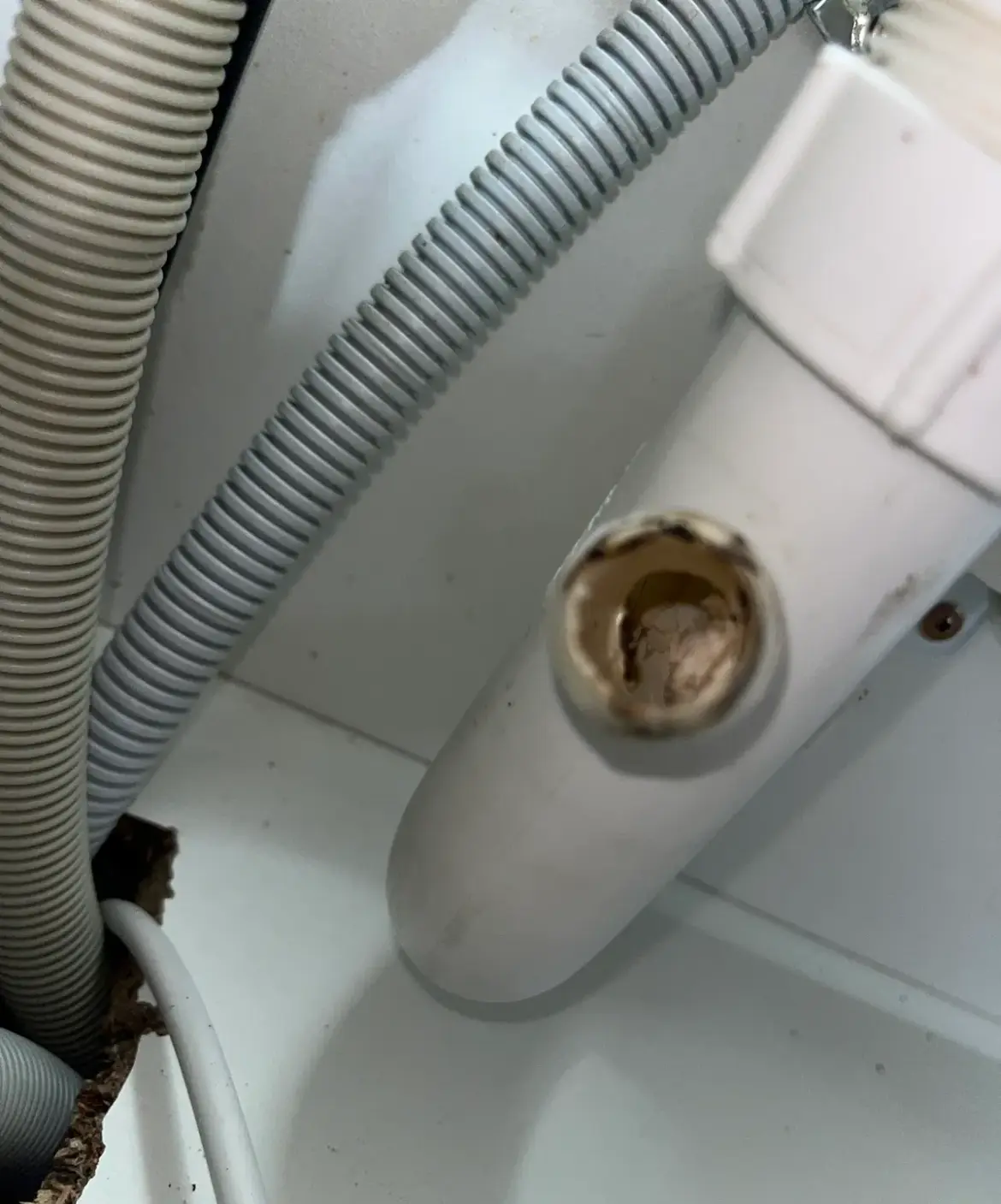 White plastic trap spigot with scale inside beside a grey drain hose