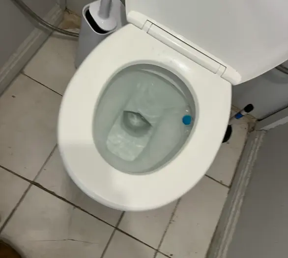 White toilet bowl with a blue tablet in the water, a brush holder and tiled floor