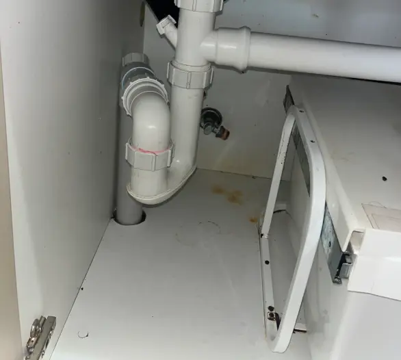 White waste pipes and trap under a sink beside a dishwasher
